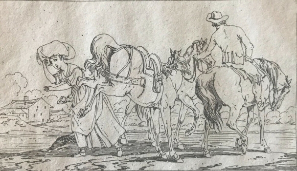 swebach_chevaux_empire_napoleon_1806_eau_forte_cheval_ruade