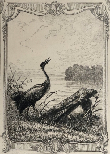 les_grenouilles_demandent_un_roi_la_fontaine_graveur_auguste_delierre_circa_1883