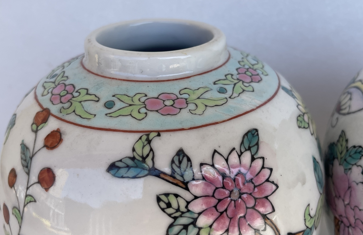 chine_paire_pots_a_gingembre_xixe_porcelaine_flore_et_papillon