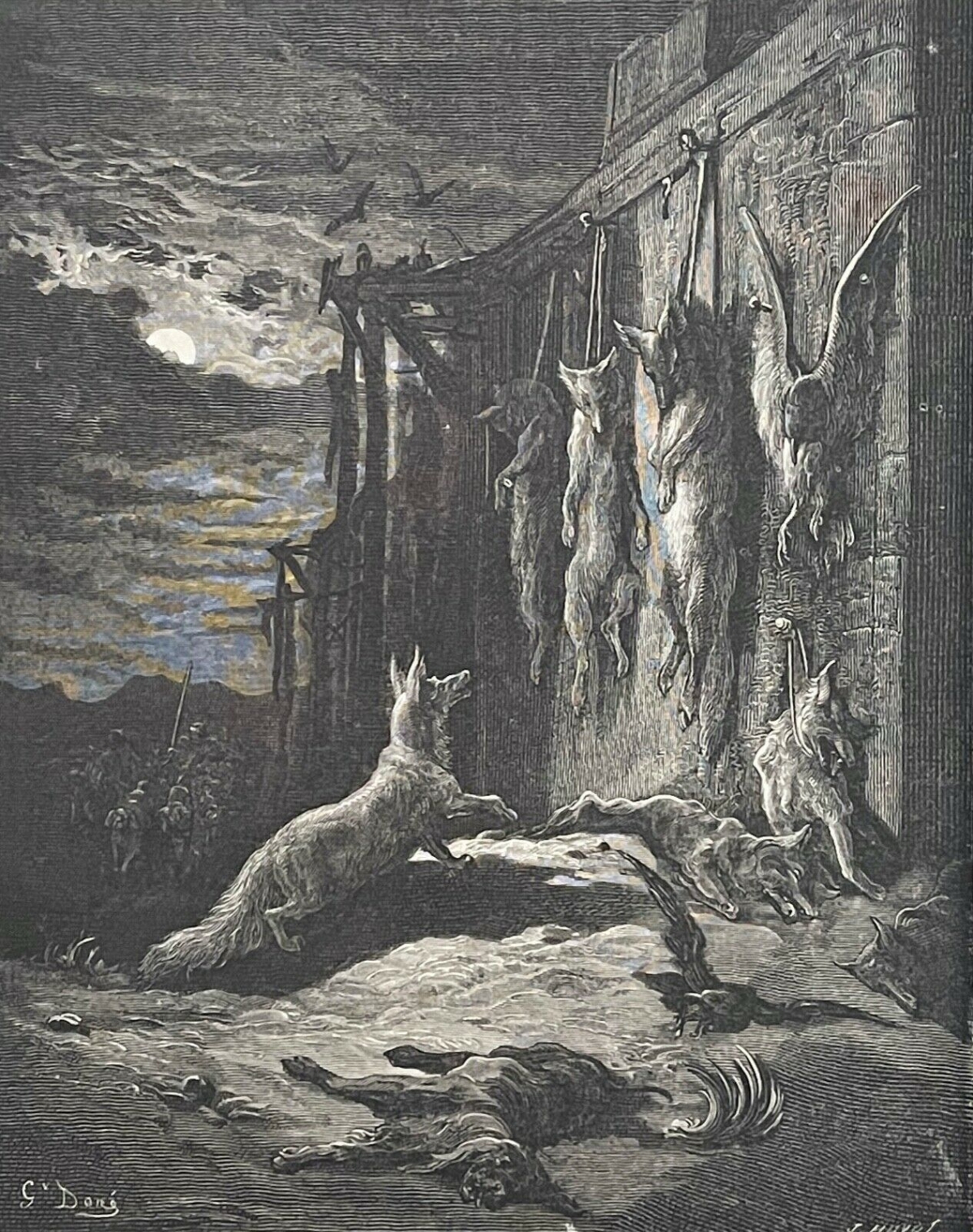 le_renard_anglais_gustave_dore_la_fontaine_1868_xylographie_huyot_france