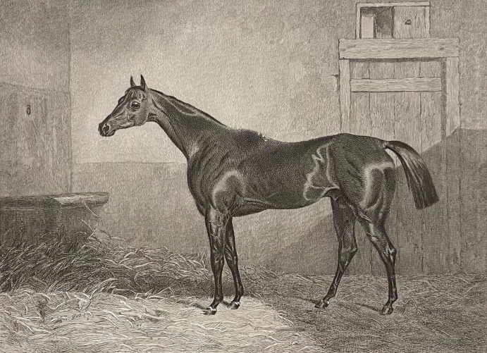 abraham_cooper_1787-1868_le_cheval_bay_middleton_graveur_engleheart_1837