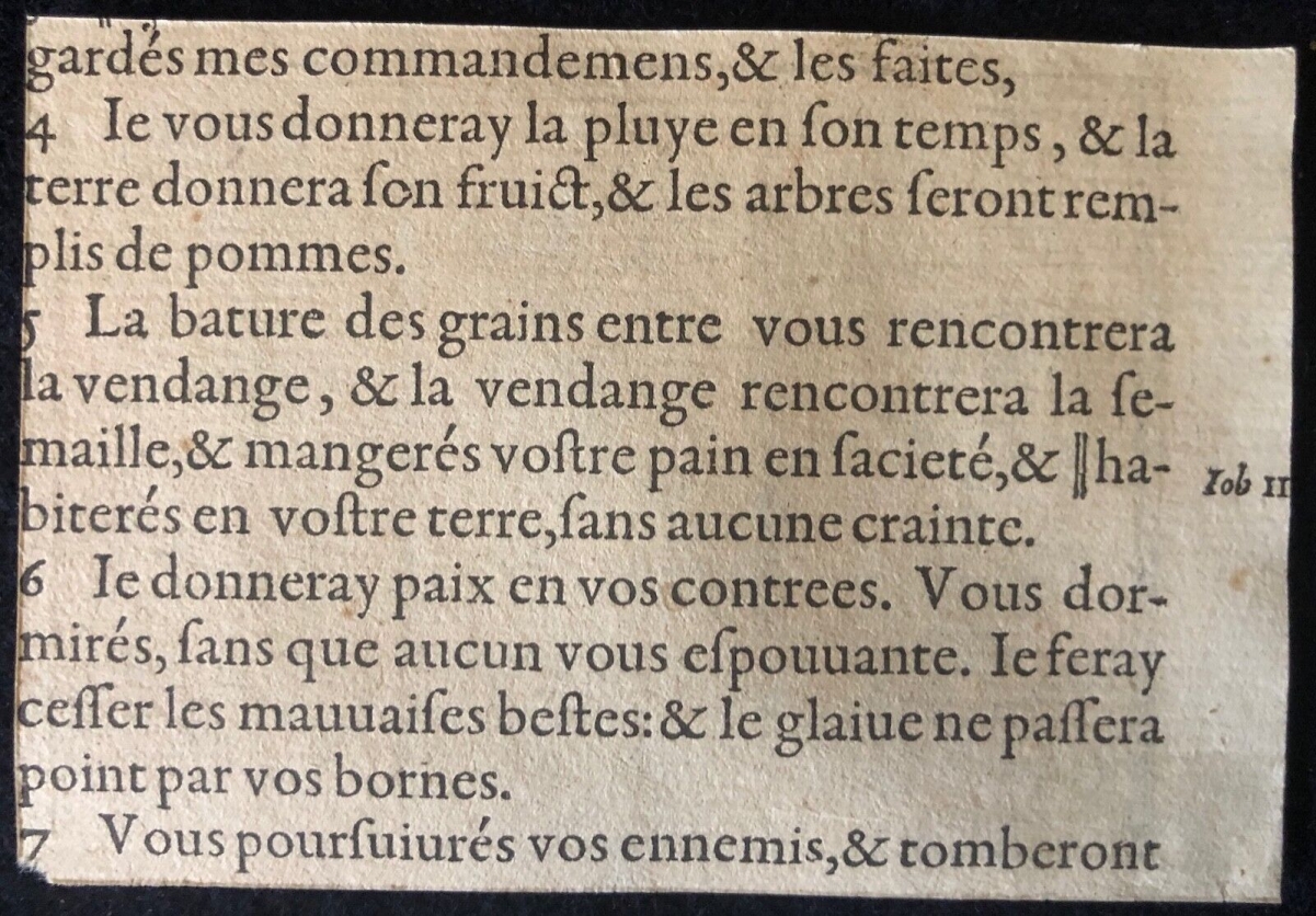 lapidation_pierre_eskrich_1520-1590_ou_thomas_arande_maitre_capeline_lyon_1608
