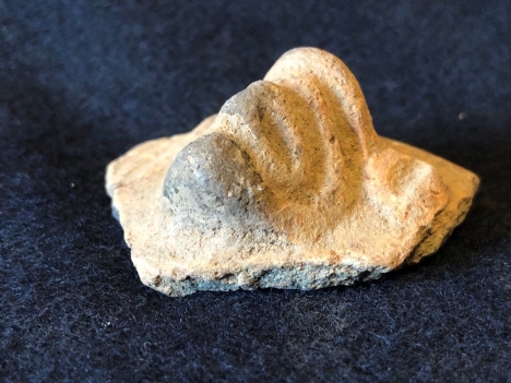 arts_premiers_tete_terre_cuite_peuple_caraibe_taino_ou_precolombien_copie_