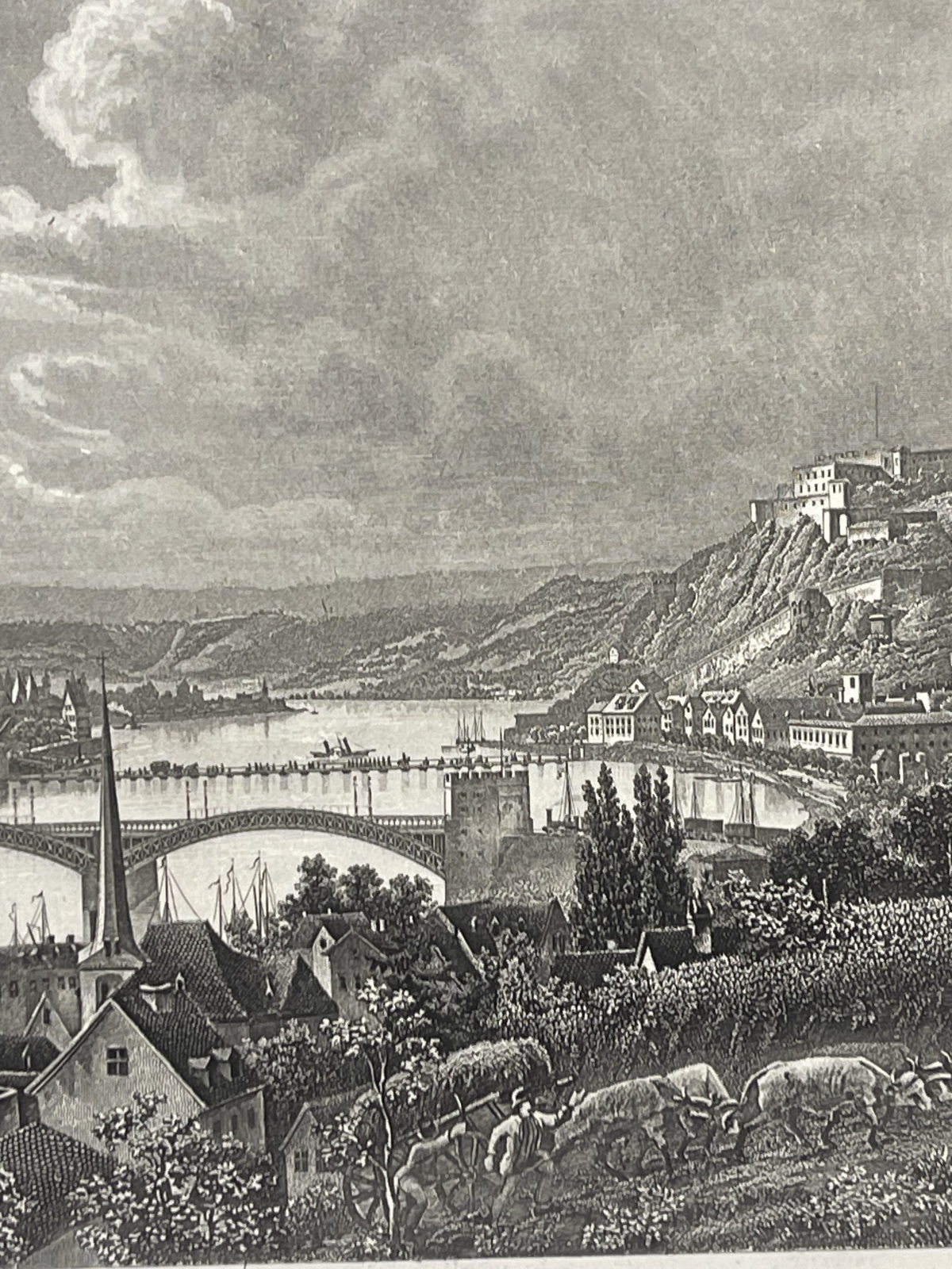 coblenz_et_forteresse_ehrenbreitstein_rhin_gravure_1850_allemagne_engraving
