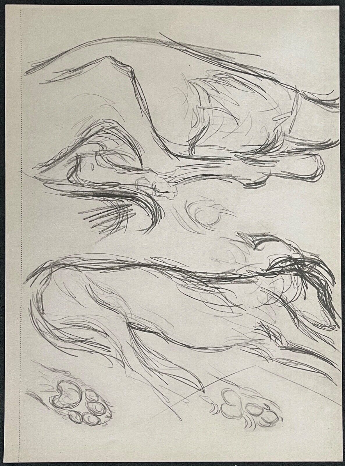 picasso_lithographie_de_dessin_tirage_de_1947_etude_de_chien