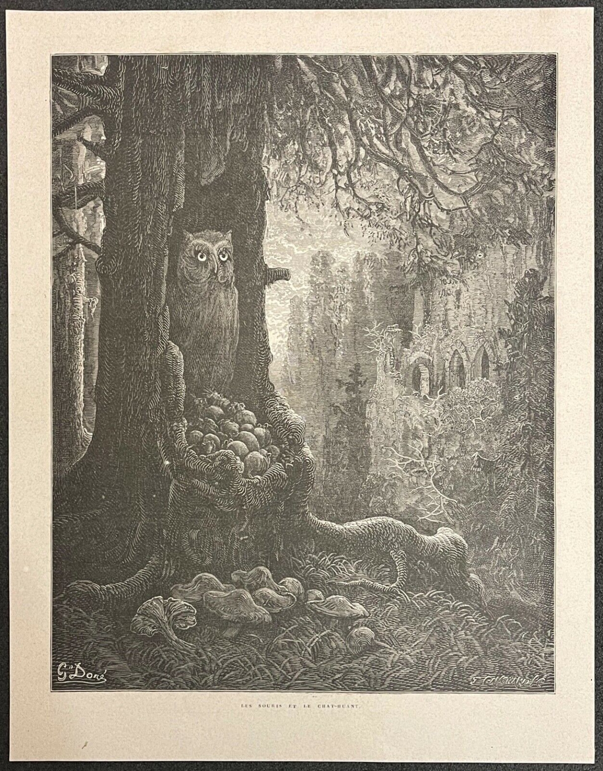 les_souris_et_le_chat-huant_hibou_gustave_dore_xylographie_fable_fontaine_1868