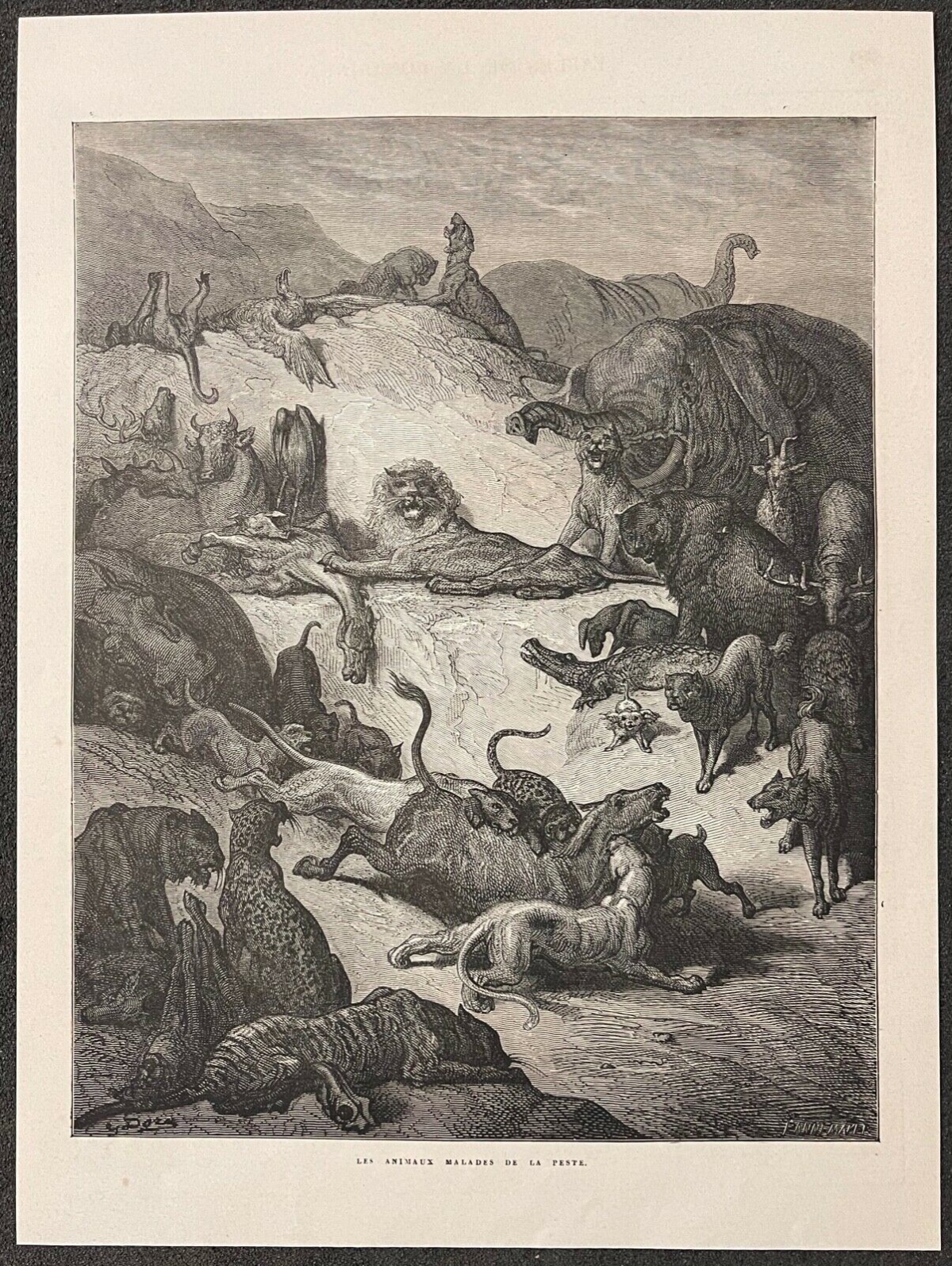 les_animaux_malades_de_la_peste_fables_la_fontaine_gustave_dore_1868