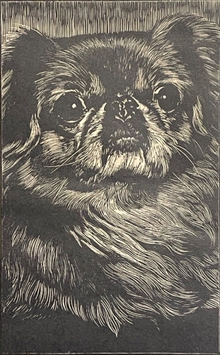 portrait_de_pekinois_xylographie_signee_vers_1930_chien_signee