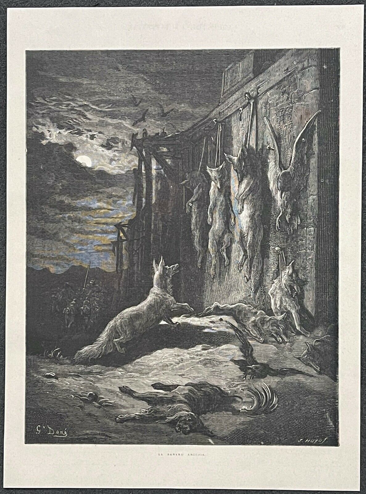 le_renard_anglais_gustave_dore_la_fontaine_1868_xylographie_huyot_france