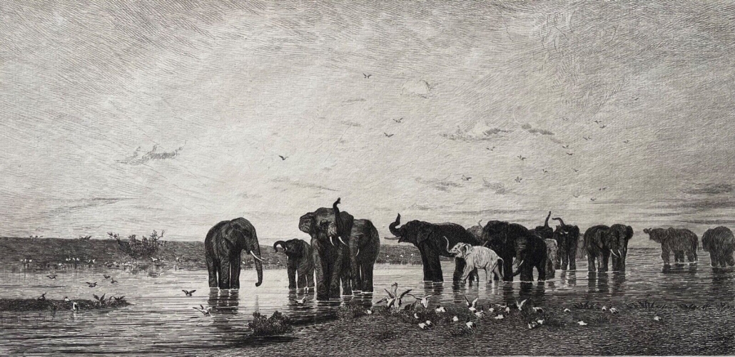 elephant_d???afrique_d???apres_francois_lienard_graveur_leon_gaucherel_1878_france