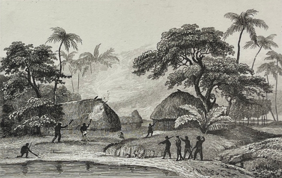 tonga_1836_engraving_french_attack_on_chief_tahofas_houses_pacific