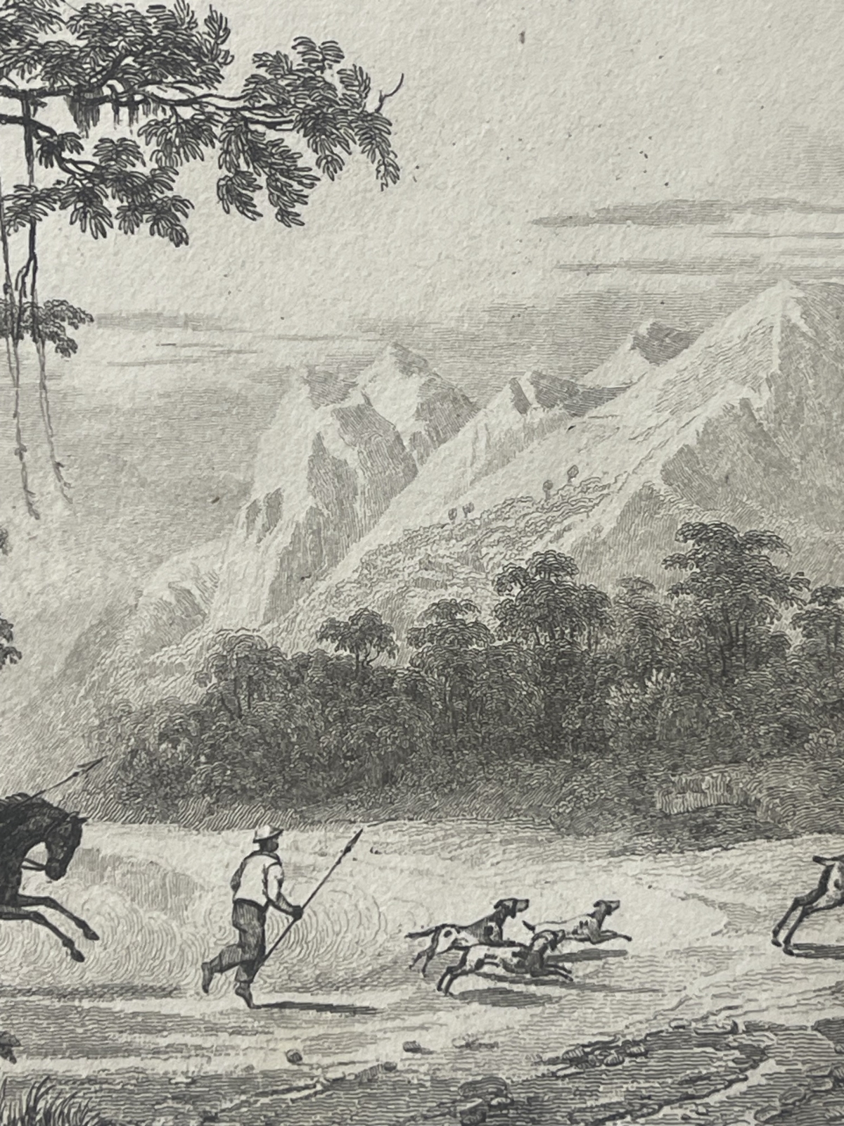 philippines_mariveles_deer_hunt_1836_antique_steel_engraving_danvin_cholet