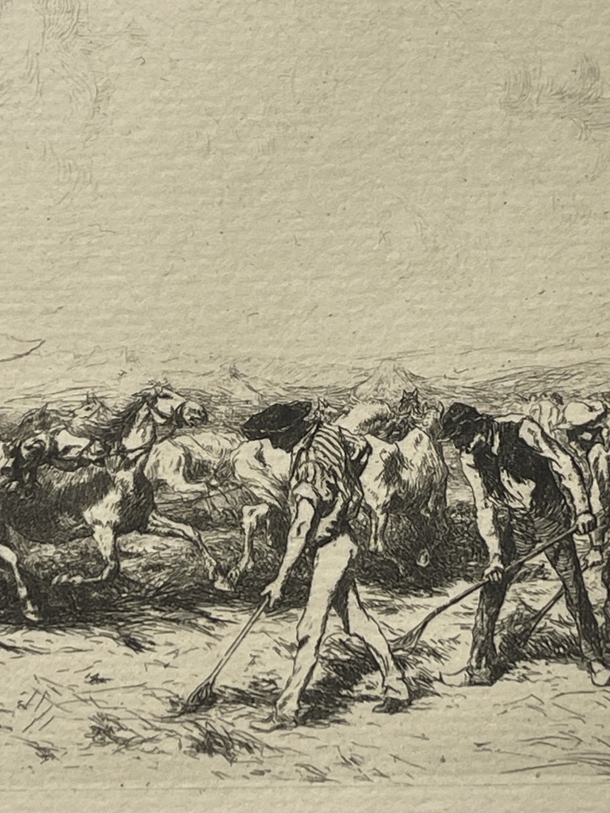 camargue_horses_threshing_original_drypoint_etching_1884_france_cheval_chevaux