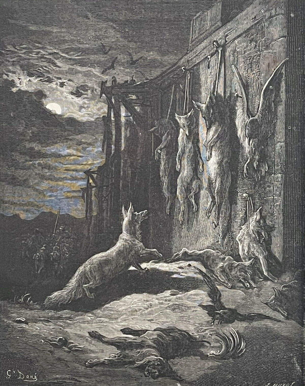 le_renard_anglais_gustave_dore_la_fontaine_1868_xylographie_huyot_france
