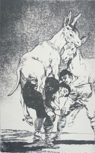 les_caprices_francisco_goya_1746-1828_tu_que_no_puede_heliogravure_vers_1970