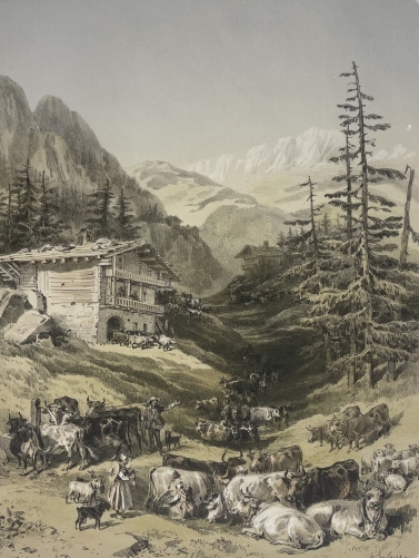 troupeaux_sur_la_montagne_col_des_aravis_savoie_lithographie_1864_france_alpes