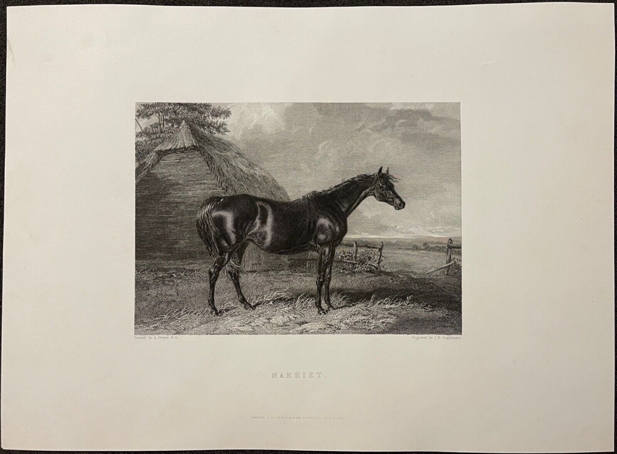 abraham_cooper_1787-1868_le_cheval_harriet_graveur_engleheart_lithographie_1837