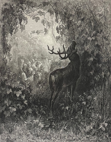 le_cerf_et_la_vigne_gustave_dore_xylographie_fable_de_la_fontaine_1868_france