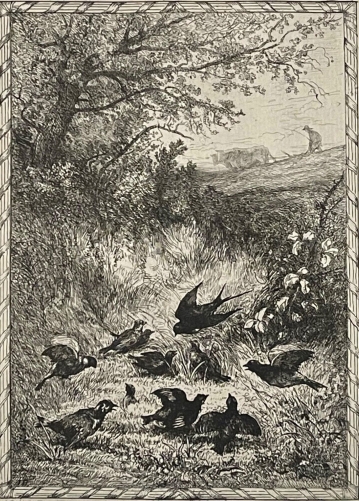 lhirondelle_et_les_petits_oiseaux_jean_de_la_fontaine_circa1883_auguste_delierre