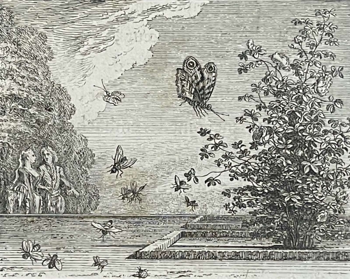 la_rose_et_le_papillon_par_claude_gillot_1673-1722_gravure_de_1719_france