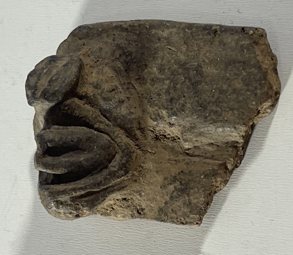 arts_premiers_tete_terre_cuite_caraibe_taino_ou_precolombien_copie