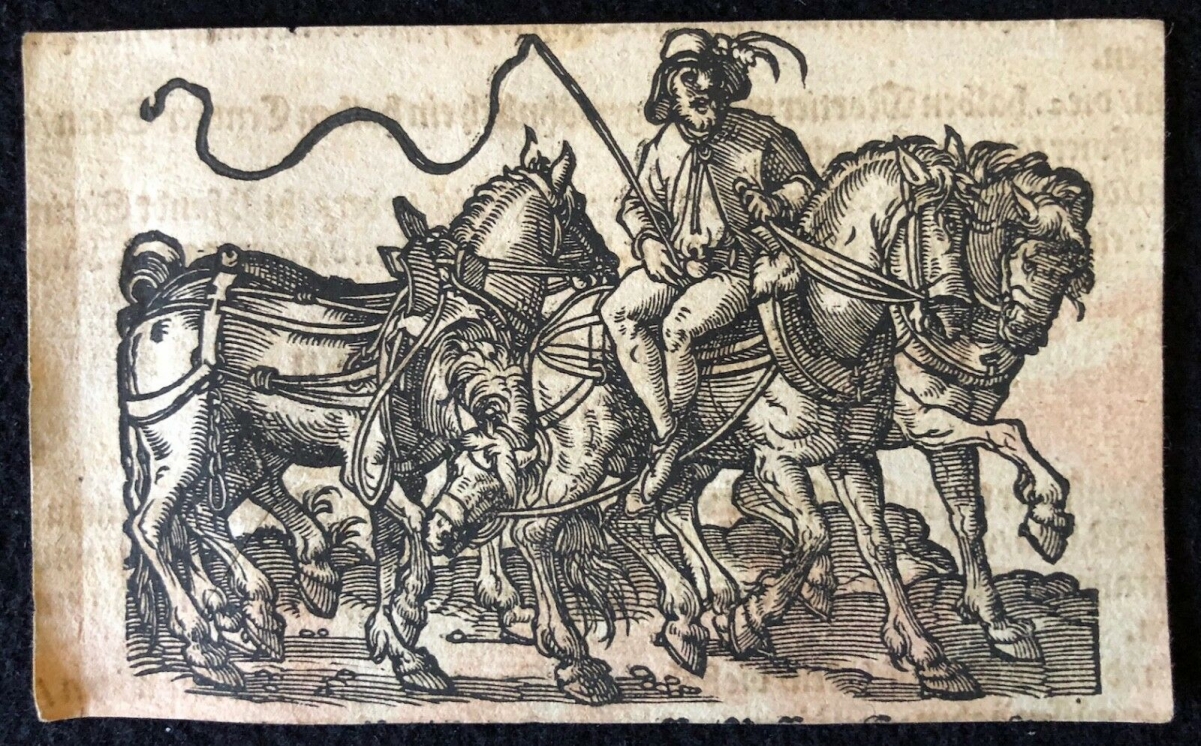 jost_amman_1539_-_1591_fronspergers_kriegsbuch_1573_xylographie_cheval_chevaux