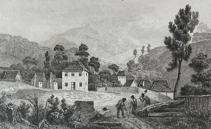 tasmanie_australie_hobart_ile_van_diemen_van_diemens_land_1835_defrichement