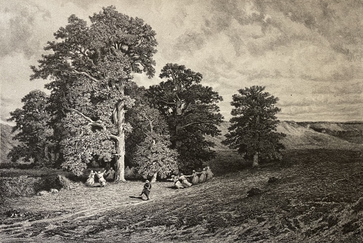 danse_villageoise_lithographie_d???apres_hugues_martin_c_1876_graveur_anasiaisi