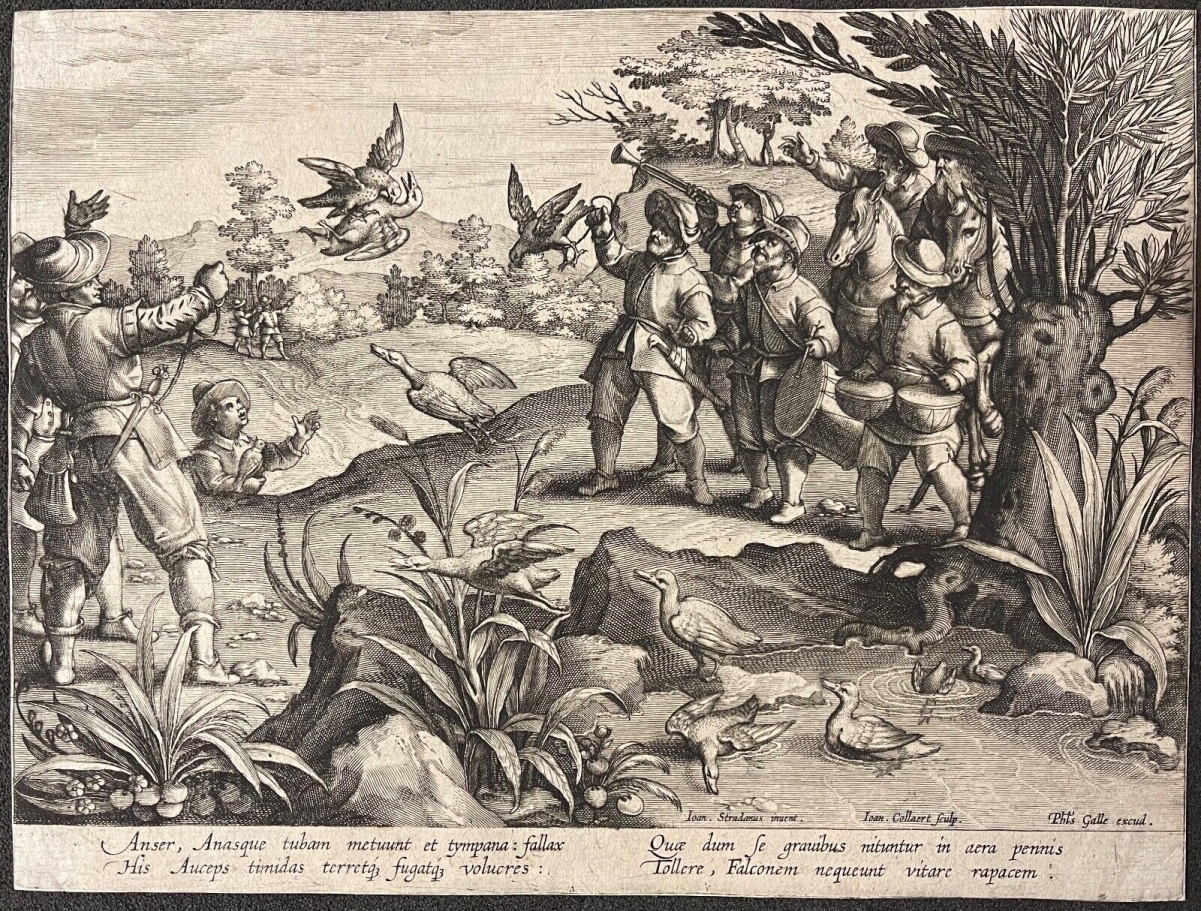 faucon_chasse_aux_canards_philippe_galle_van_der_straet_collaert_c_1595_oiseaux
