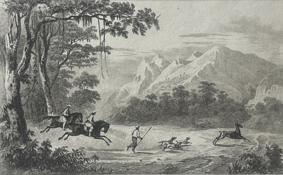 philippines_mariveles_deer_hunt_1836_antique_steel_engraving_danvin_cholet