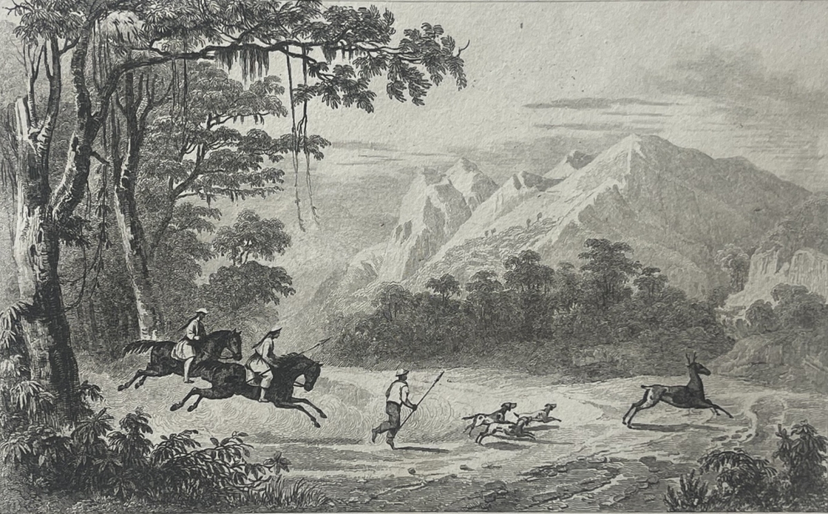 philippines_mariveles_deer_hunt_1836_antique_steel_engraving_danvin_cholet
