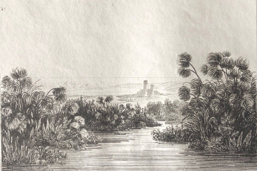 sicilia_fontaine_cyane_sicile_gravure_circa_1850_italie_italia