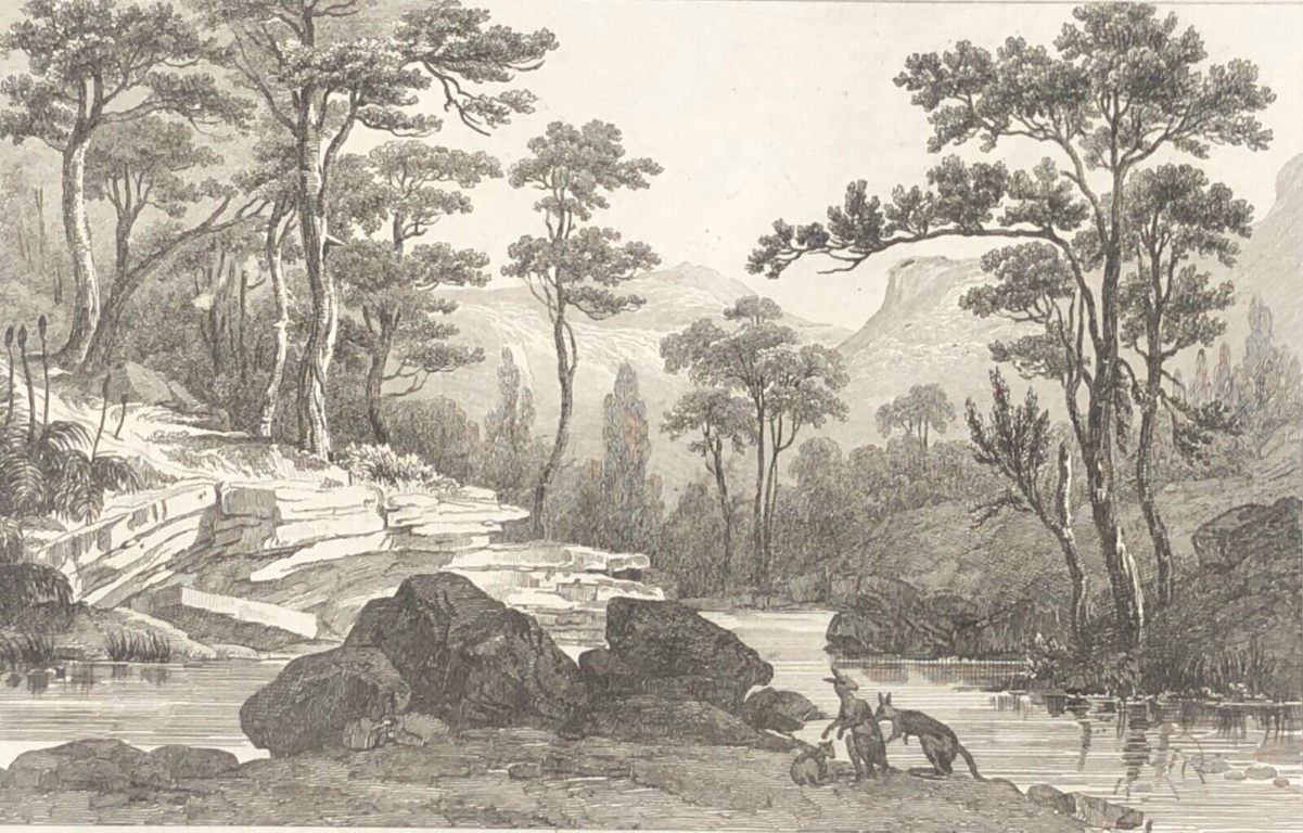 torrent_de_glen_brook_creek_australie_oceanie_vers_1830