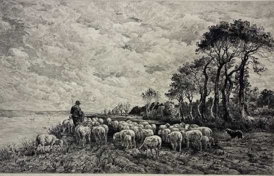 barbizon_school_charles_emile_jacque_shepherd_sheep_etching_proof_1911