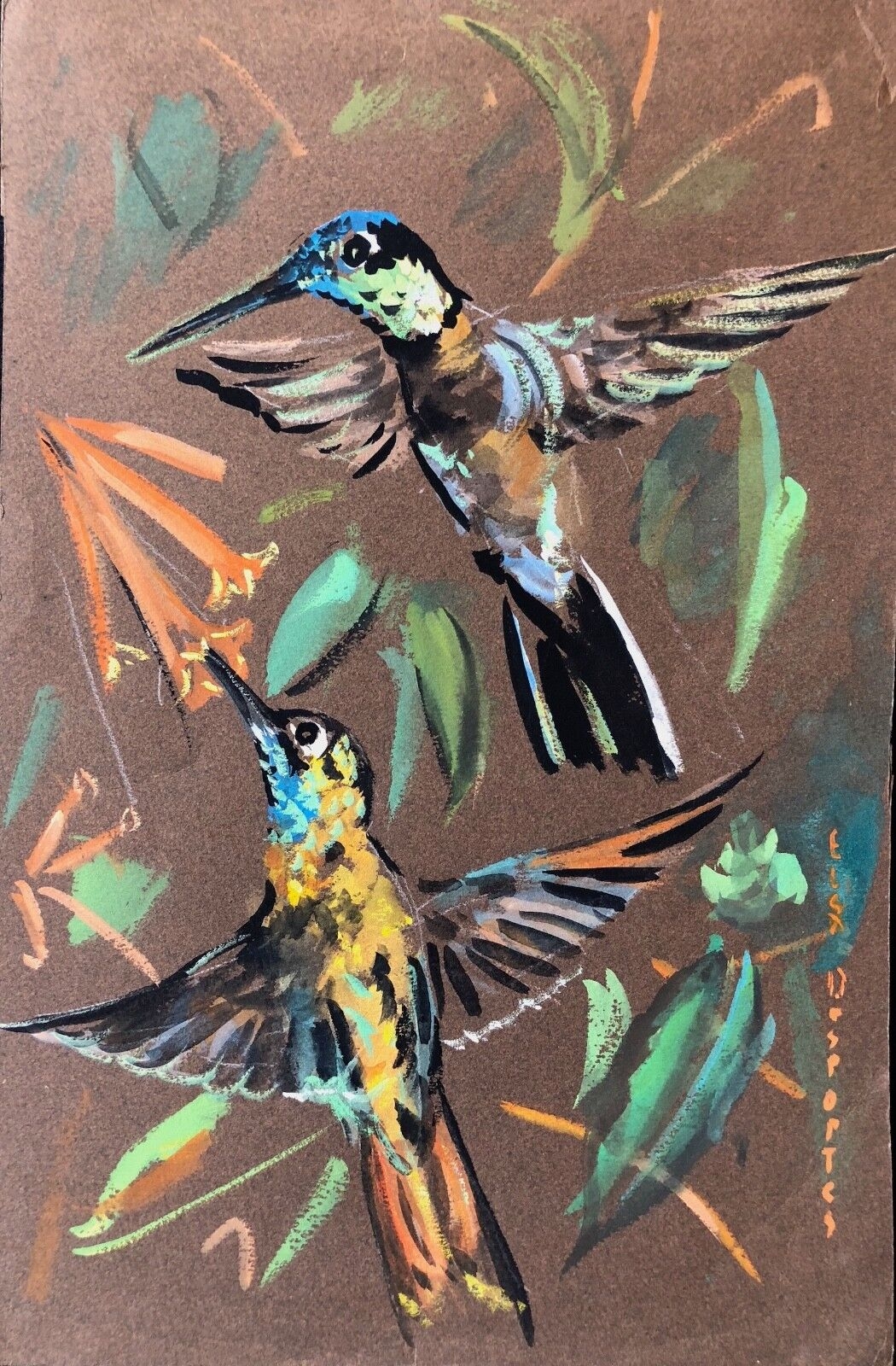 oiseau-mouche_trochilidae_gouache_c_1970_signee_elsa_desportes_animalier