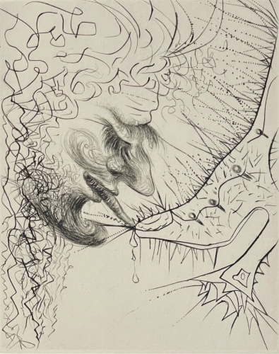 salvador_dali_la_venus_aux_fourrures_l???homme_baisant_la_chaussure_anstalt_1970