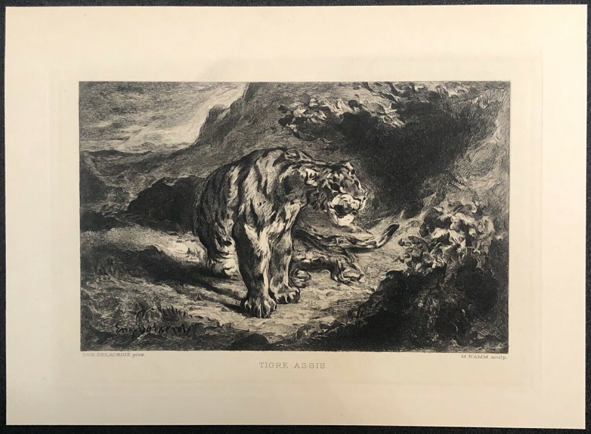 eugene_delacroix_le_tigre,_eaux_forte_graveur_m_kamm_1910_fauve_orientaliste