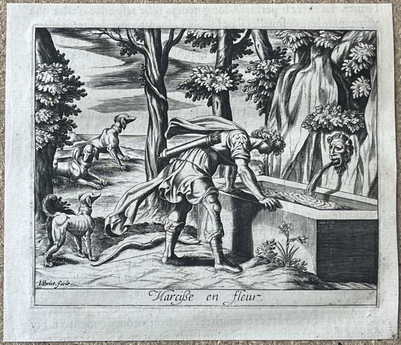 narcis_transforme_en_fleur_1619_gravure_j__briot_dapres_antonio_tempesta