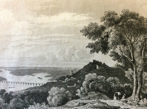 estampe_allemagne_danube_ratisbonne_milieu_xixe_siecle_deutschland