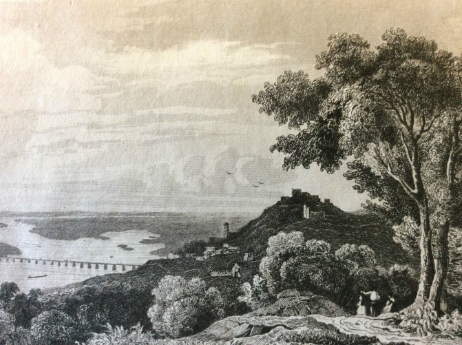 estampe_allemagne_danube_ratisbonne_milieu_xixe_siecle_deutschland