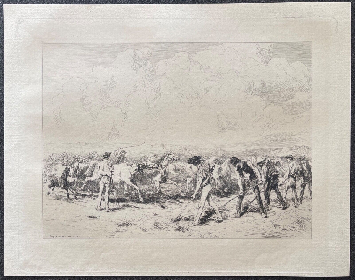 foulaison_en_camargue_provence_pointe_seche_burnand_1884_chevaux_cheval_france
