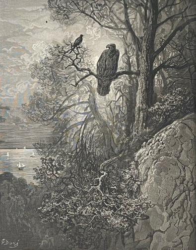 l_aigle_et_la_pie_gustave_dore_la_fontaine_1868_xylographie_jonnard_france