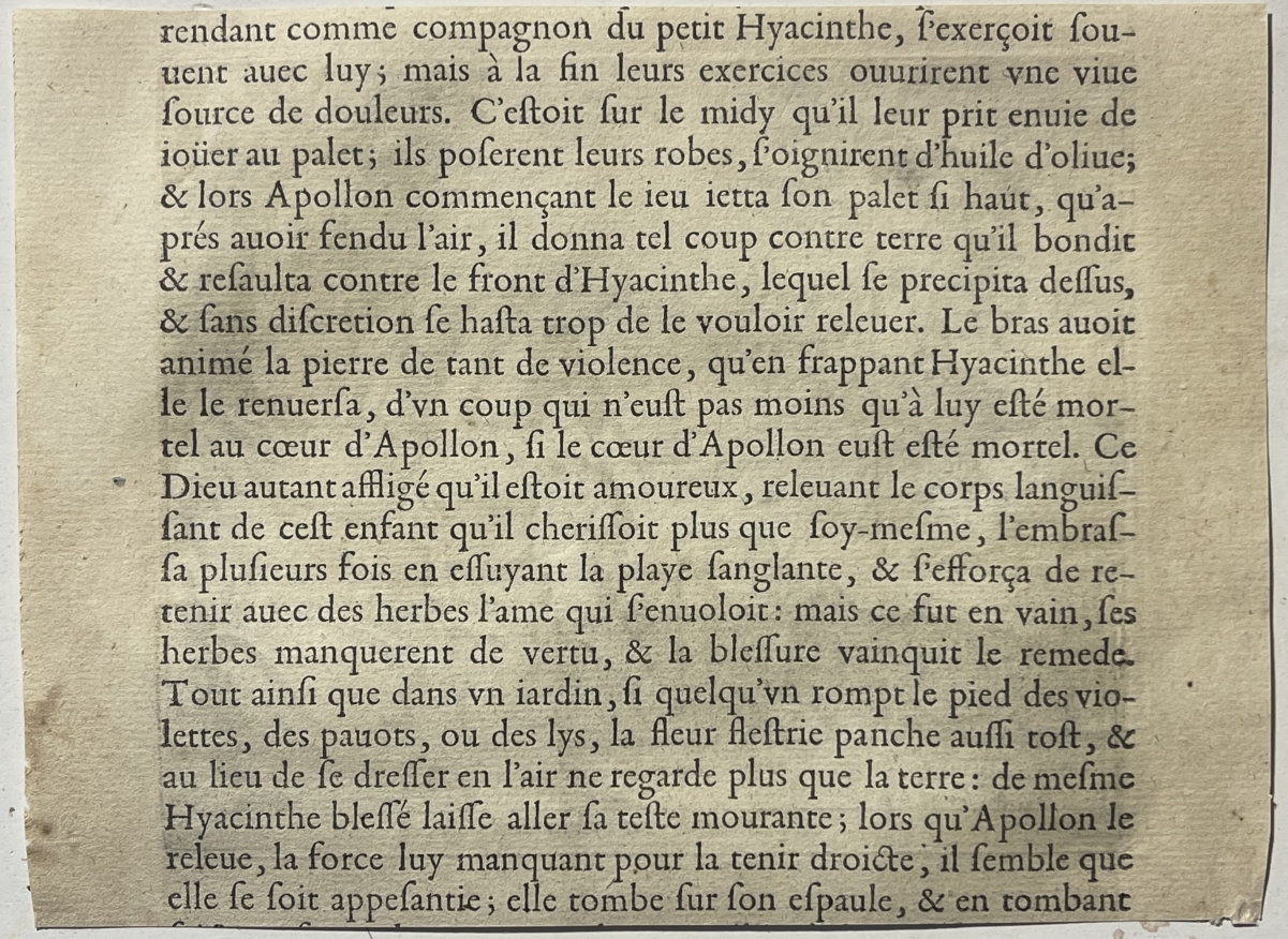 apollo_mourning_hyacinthus_1619_antique_print_from_ovid_metamorphoses
