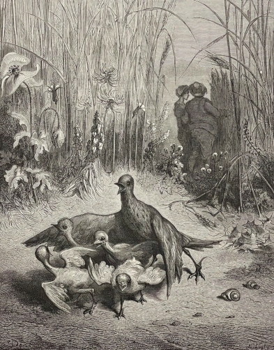 l_alouette_ses_petits_le_maitre_gustave_dore_xylographie_fable_la_fontaine_1868