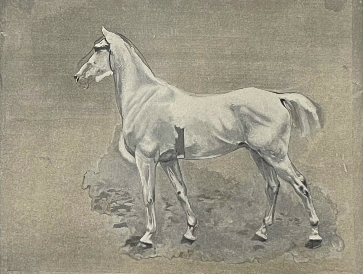 iena_1806_cheval_de_napoleon_bonaparte_ernest_meissonier_photogravure_de_1897