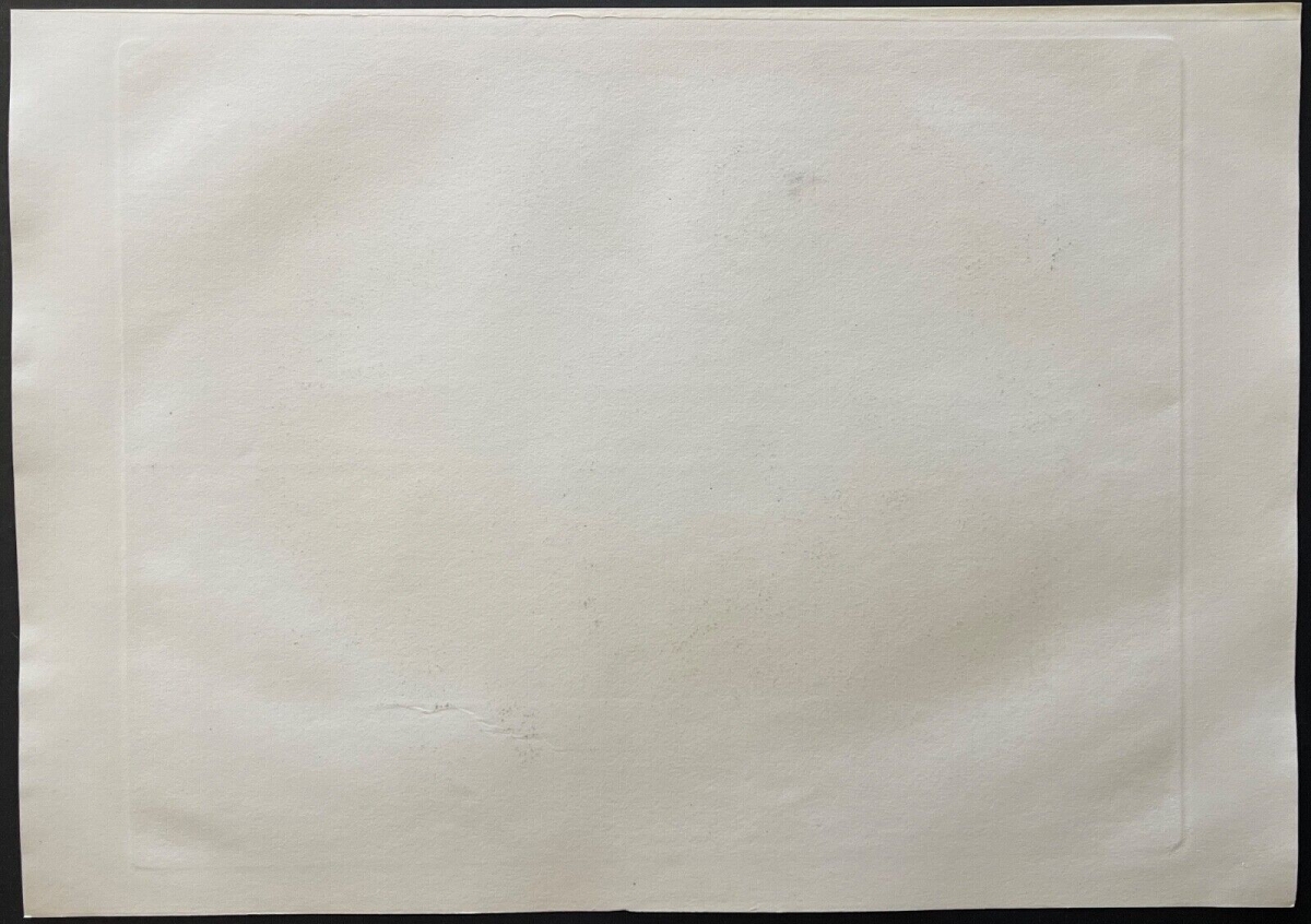 gaza_en_palestine_gravure_de_arthur_willmore_1814-1888_vers_1874