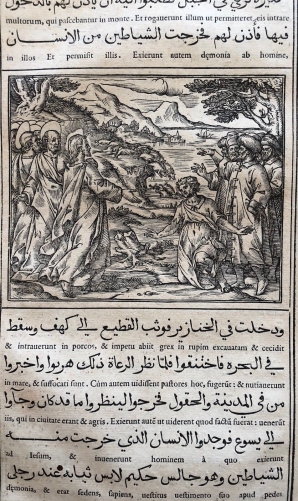 evangiles_arabe_raimondi_1591_tempesta_parasole_jesus_chassant_les_demons_cochons