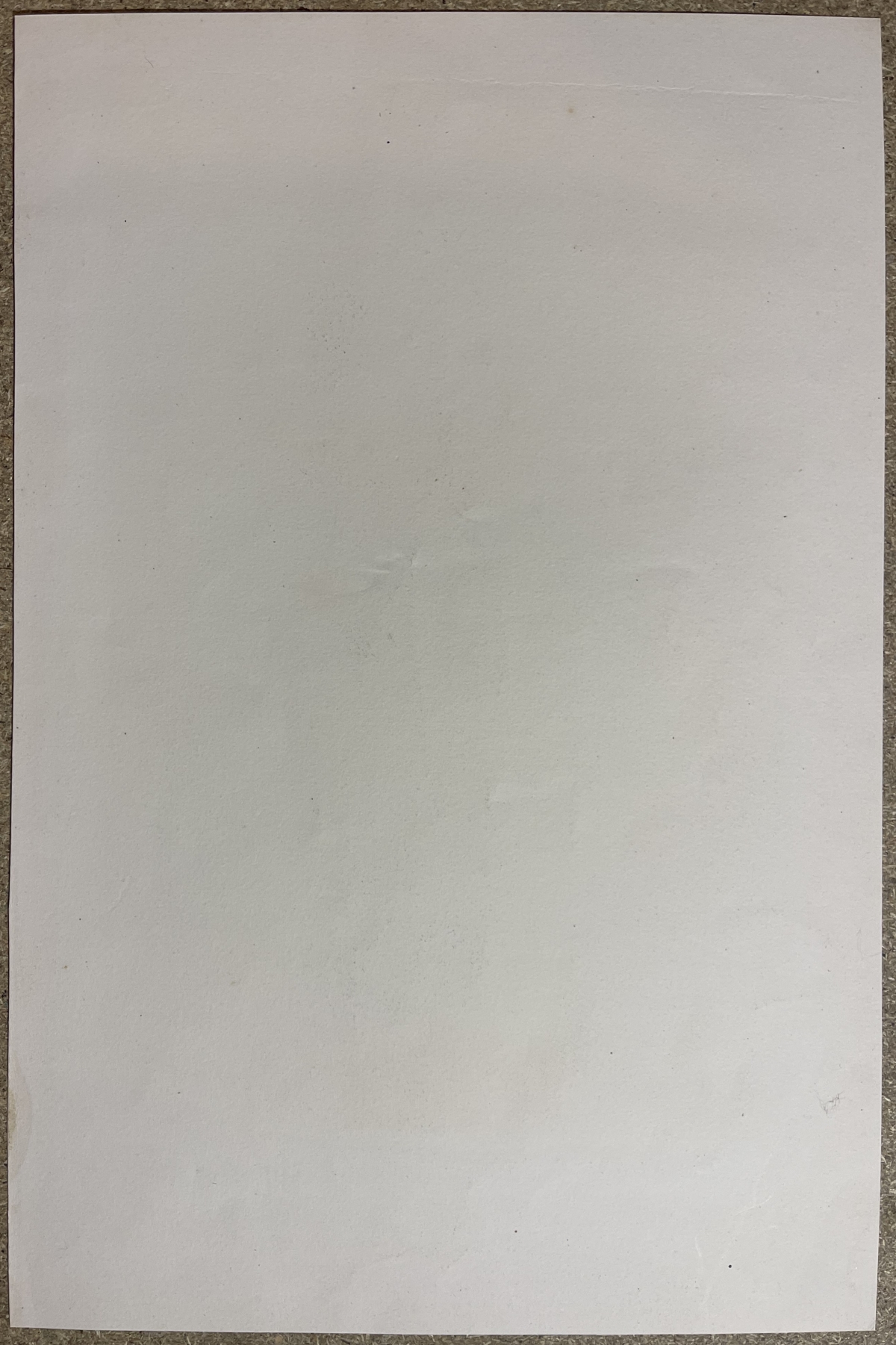 jeanne_de_naples_comtesse_de_provence_lithographie_c_1840_provence