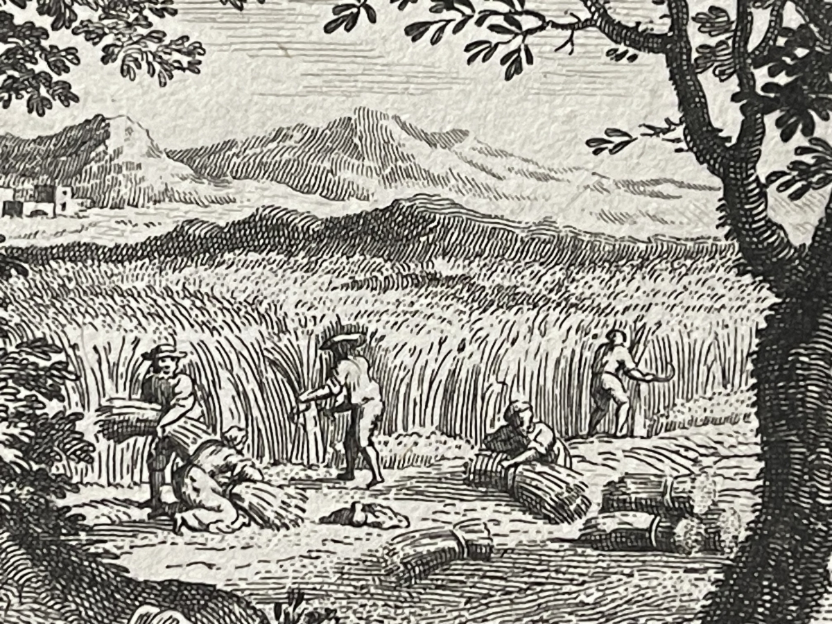 la_chenille_et_la_fourmi_claude_gillot_1673-1722_fable_moisson_1719