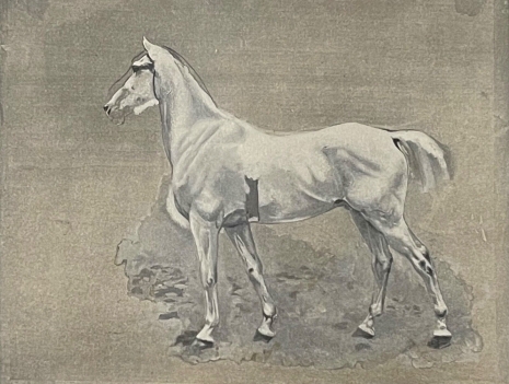 iena_1806_cheval_de_napoleon_bonaparte_ernest_meissonier_photogravure_de_1897